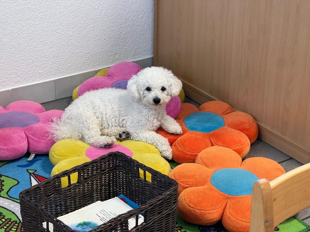 Spielgruppe Cindy