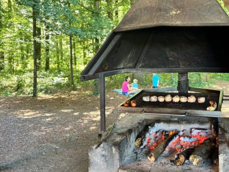 BBQ2613