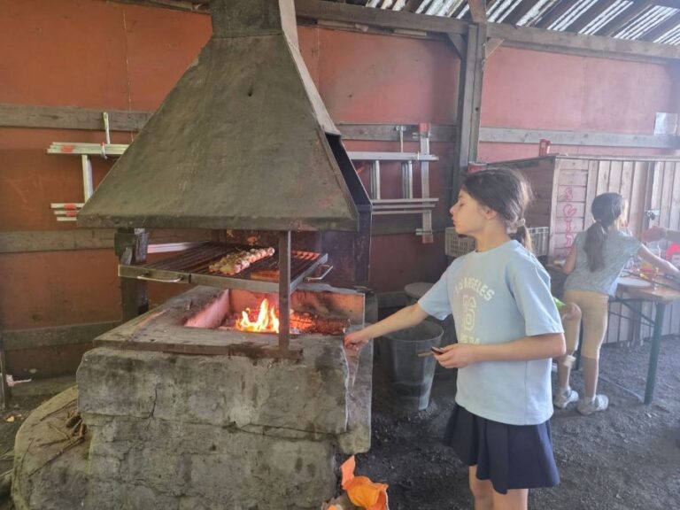 BBQ267